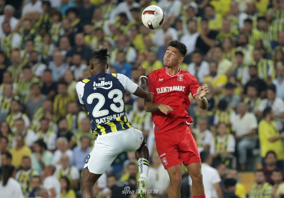 中占据了主 中占据了主